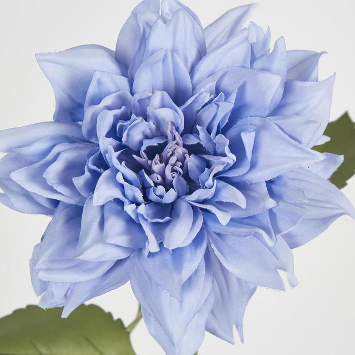 Dahlia 62cm Blue - Pack of 12