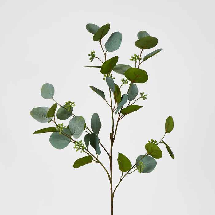 Green Eucalyptus with Seed 87cm – Pack of 12