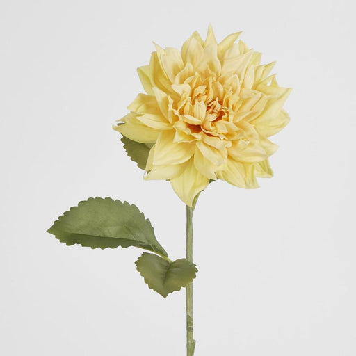Dahlia 62cm Yellow - Pack of 12