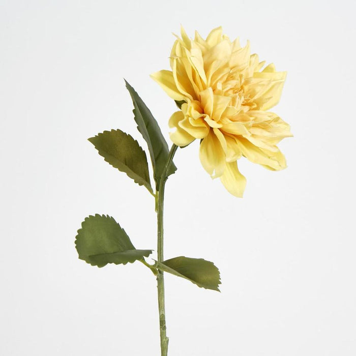 Dahlia 62cm Yellow - Pack of 12