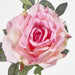 Queen Rose 35cm Pink - Pack of 12