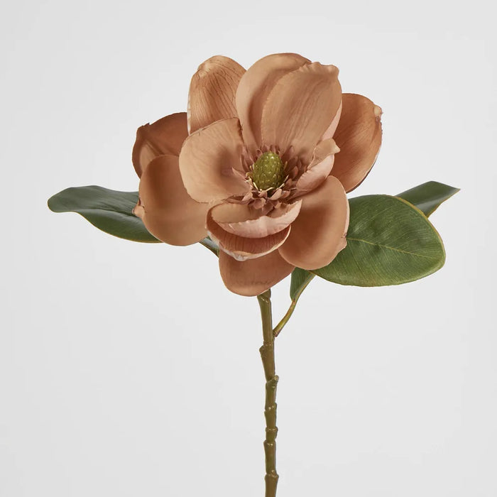 Beige Magnolia on Stem 74cm – Pack of 12