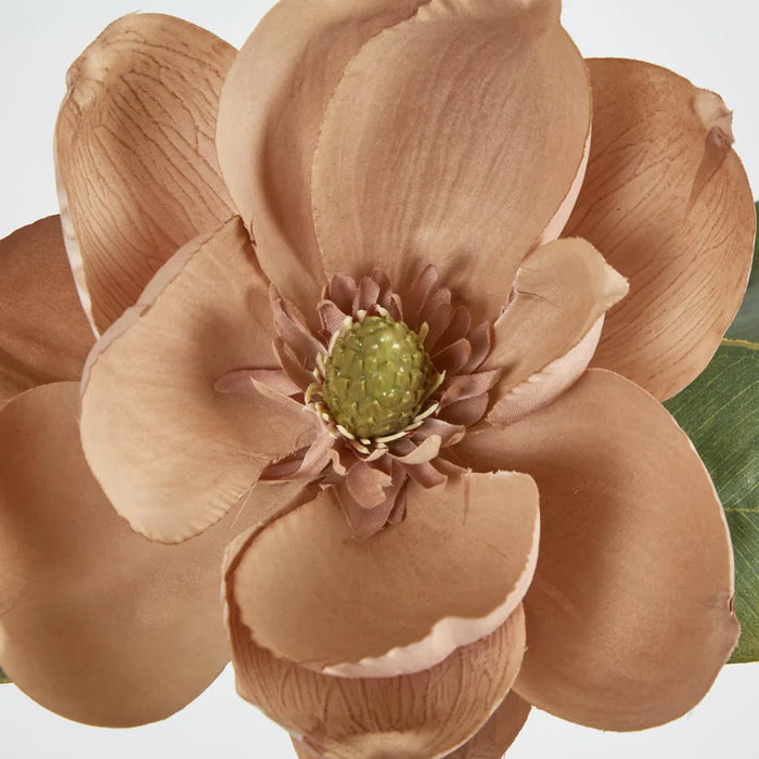 Beige Magnolia on Stem 74cm – Pack of 12