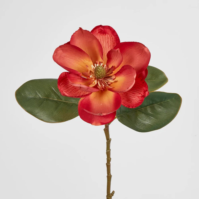 Coral Magnolia on Stem 74cm – Pack of 12