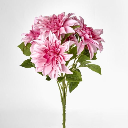 Dahlia Bush x 5 Light Pink 45cm - Pack of 12