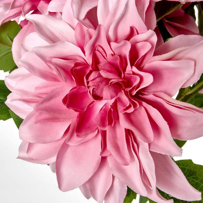 Dahlia Bush x 5 Light Pink 45cm - Pack of 12