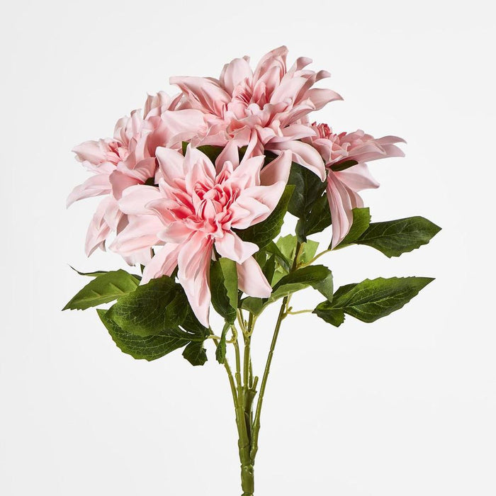Dahlia Bush x 5 Dark Pink 45cm - Pack of 12