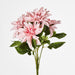 Dahlia Bush x 5 Dark Pink 45cm - Pack of 12