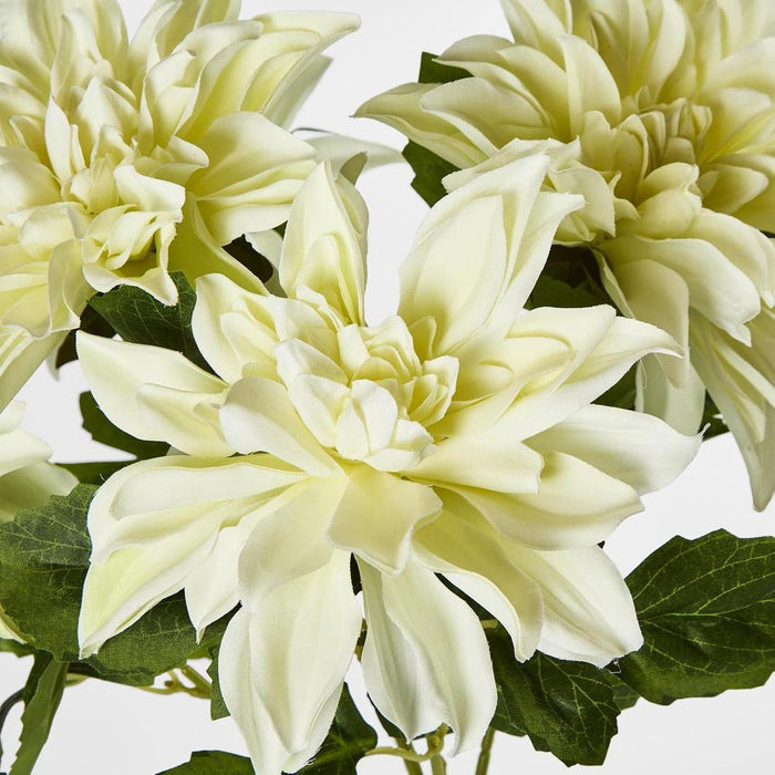 Dahlia Bush x 5 White 48cm - Pack of 12