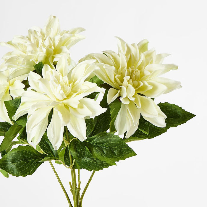 Dahlia Bush x 5 White 48cm - Pack of 12