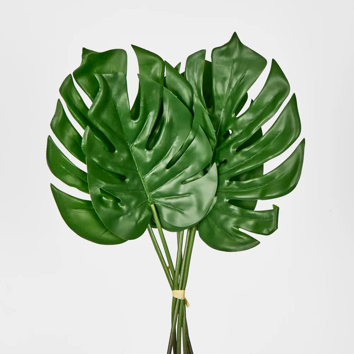 Monstera Leaf Bundle Green – Pack of 36