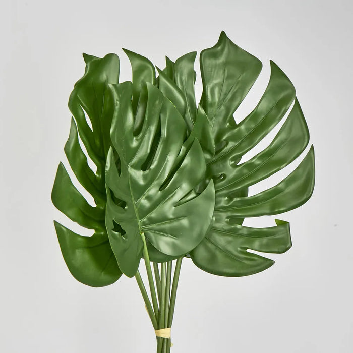 Monstera Leaf Bundle Green – Pack of 36