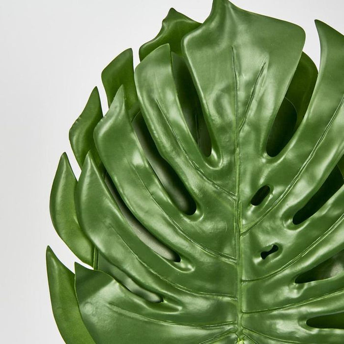 Monstera Leaf Bundle Green – Pack of 36