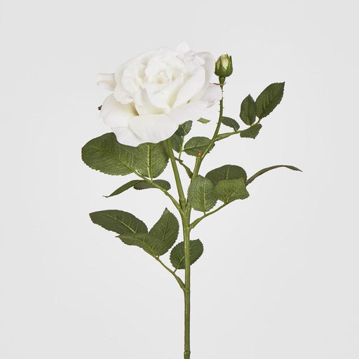 Colin Rose 64cm White - Pack of 12