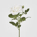 Colin Rose 64cm White - Pack of 12
