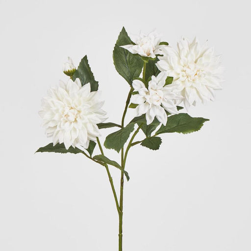Dahlia Spray 70cm White - Pack of 12
