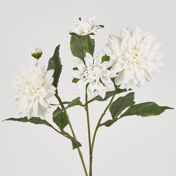Dahlia Spray 70cm White - Pack of 12