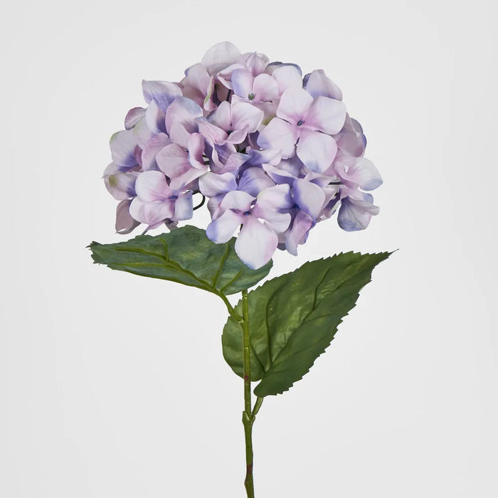 Purple Domed Hydrangea 69cm – Pack of 12