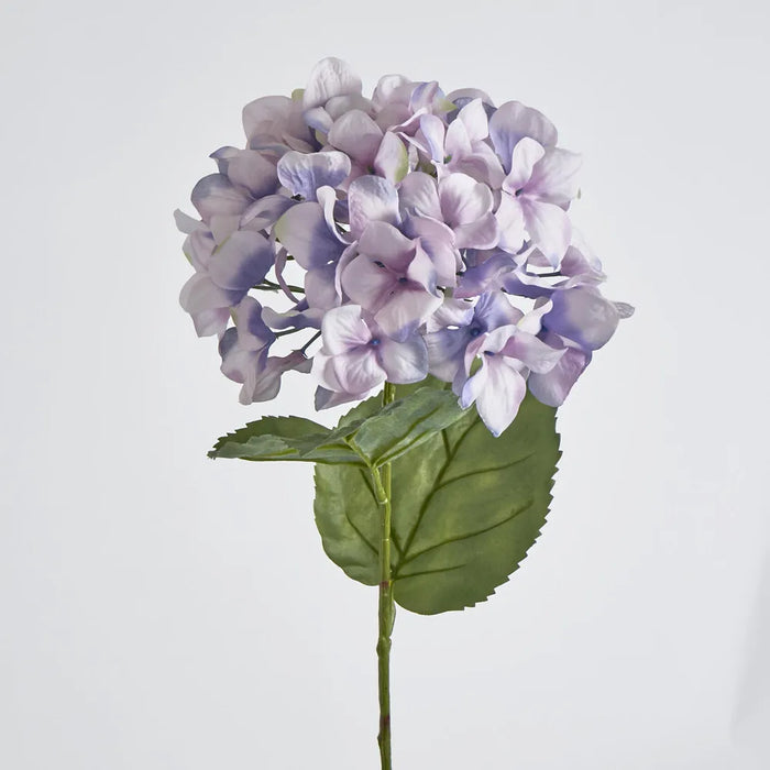 Purple Domed Hydrangea 69cm – Pack of 12