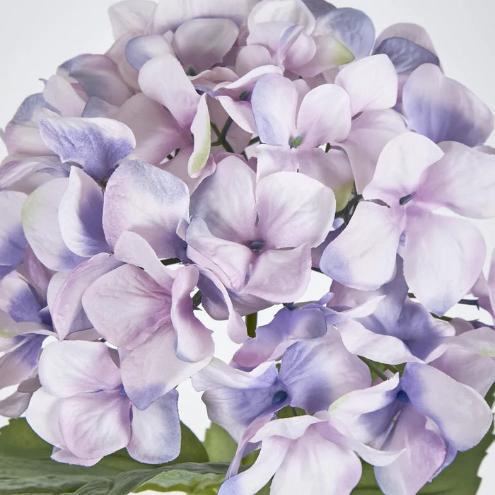 Purple Domed Hydrangea 69cm – Pack of 12