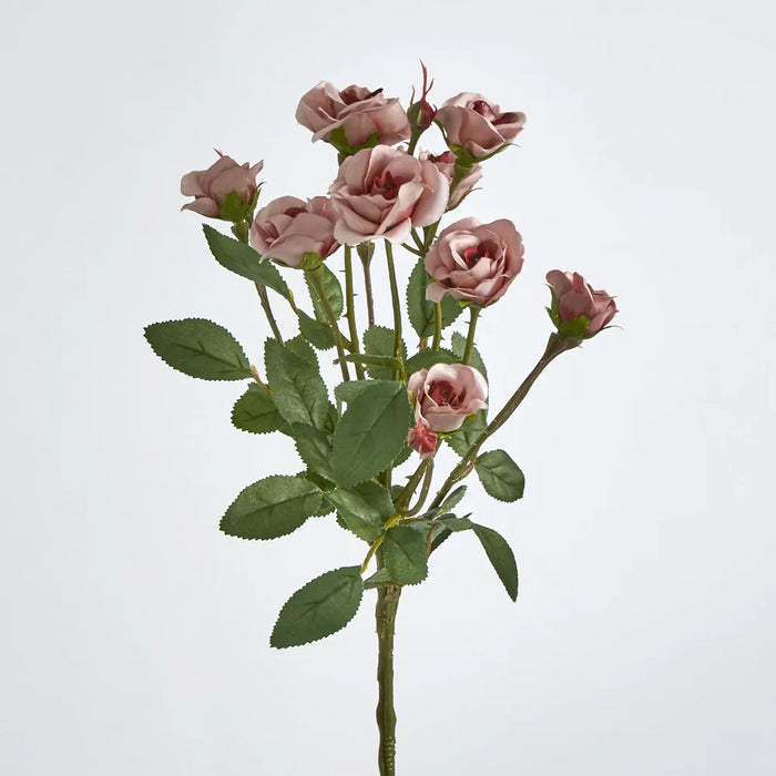 Dusty Pink Rose Spray 56cm – Pack of 24