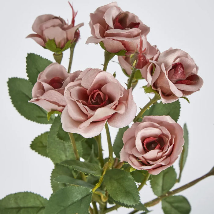 Dusty Pink Rose Spray 56cm – Pack of 24