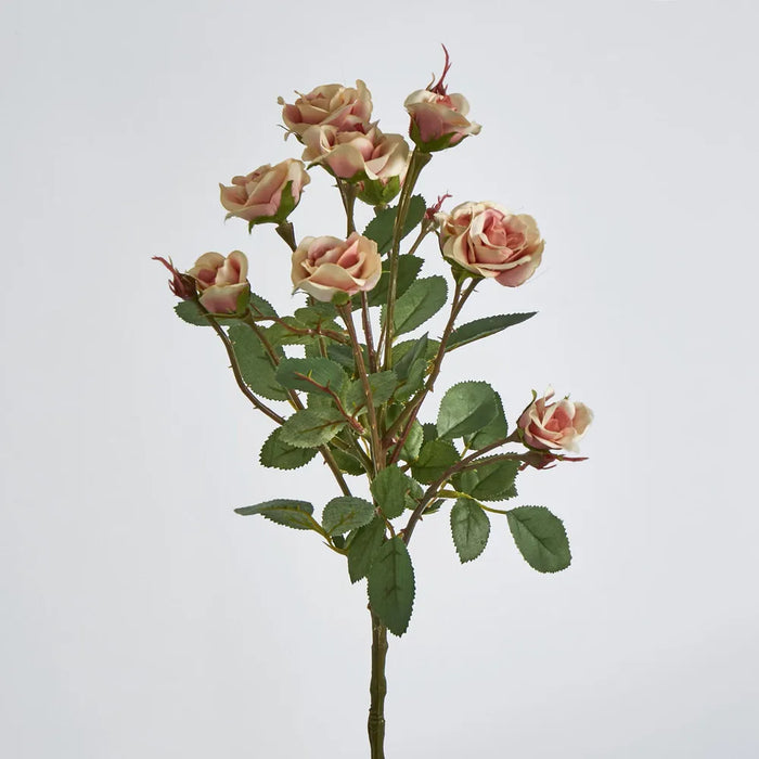 Peach Rose Spray 56cm – Pack of 24