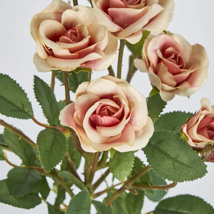 Peach Rose Spray 56cm – Pack of 24