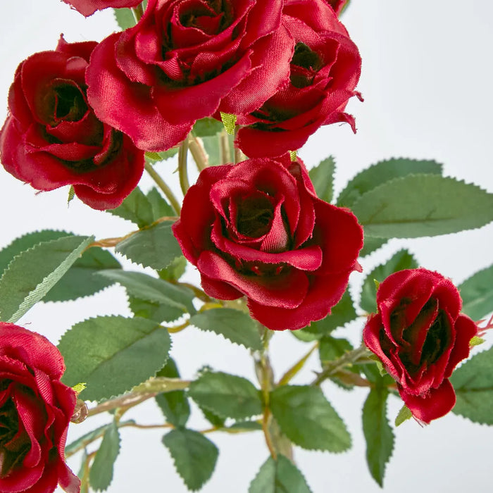 Red Rose Spray 56cm – Pack of 24