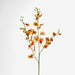 Lilly Dancing Orchid 98cm Orange - Pack of 12