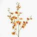 Lilly Dancing Orchid 98cm Orange - Pack of 12
