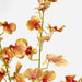Lilly Dancing Orchid 98cm Orange - Pack of 12
