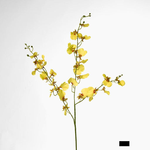 Lilly Dancing Orchid 98cm Yellow - Pack of 12