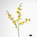 Lilly Dancing Orchid 98cm Yellow - Pack of 12