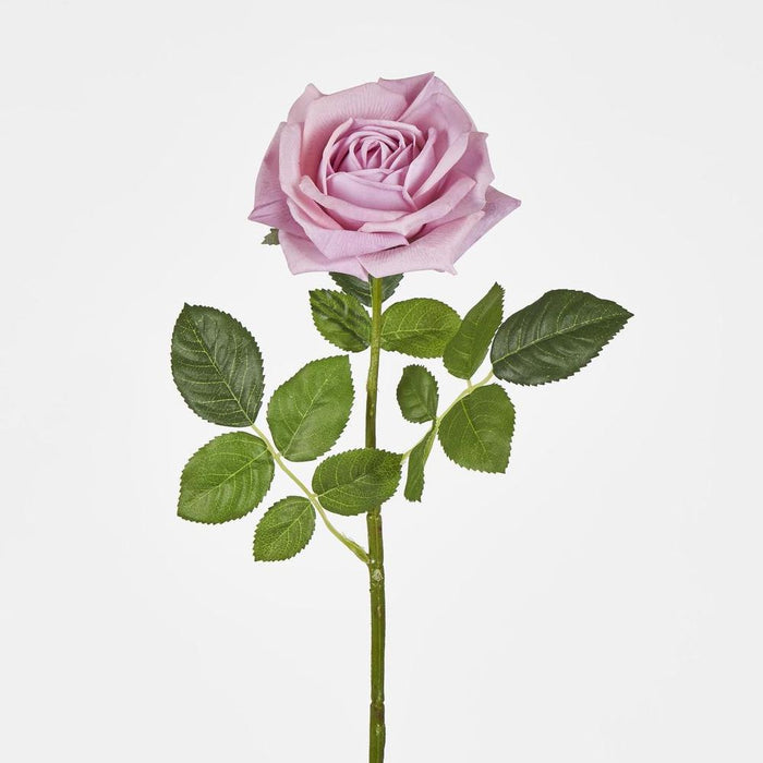 Walter Real Touch Rose Stem Lavender
61cm Purple - Pack of 24