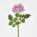 Walter Real Touch Rose Stem Lavender
61cm Purple - Pack of 24