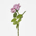 Walter Real Touch Rose Stem Lavender
61cm Purple - Pack of 24