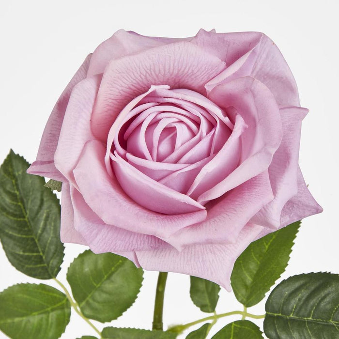 Walter Real Touch Rose Stem Lavender
61cm Purple - Pack of 24
