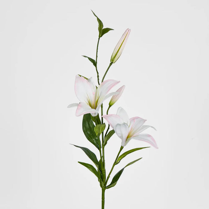 Sunshine Lily Light Pink 84cm – Pack of 24