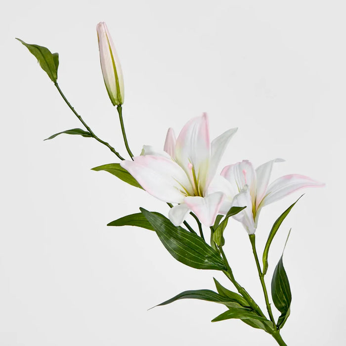 Sunshine Lily Light Pink 84cm – Pack of 24