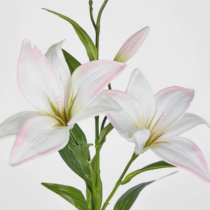 Sunshine Lily Light Pink 84cm – Pack of 24