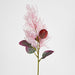 Smoke Bush Pink 75cm Purple - Pack of 6