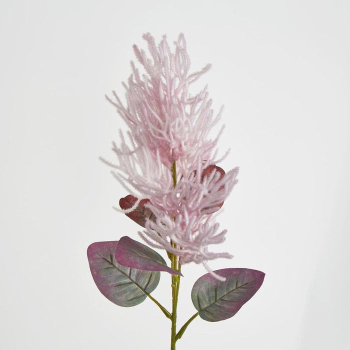 Smoke Bush Pink 75cm Purple - Pack of 6