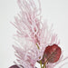 Smoke Bush Pink 75cm Purple - Pack of 6
