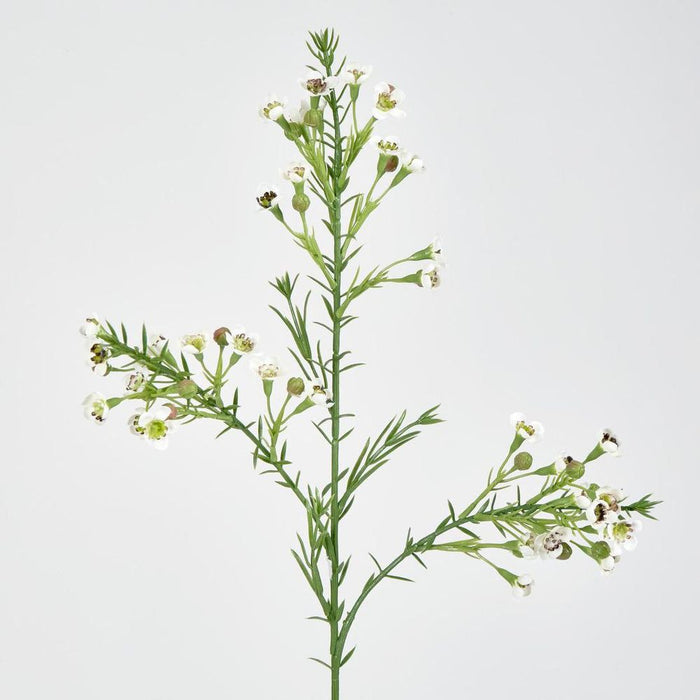 Wax Flower Cream 64cm - Pack of 12