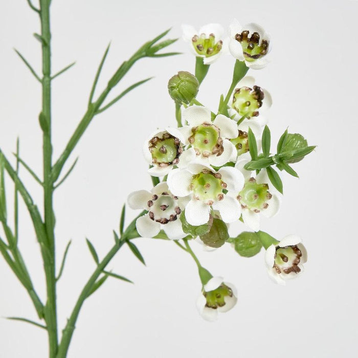 Wax Flower Cream 64cm - Pack of 12
