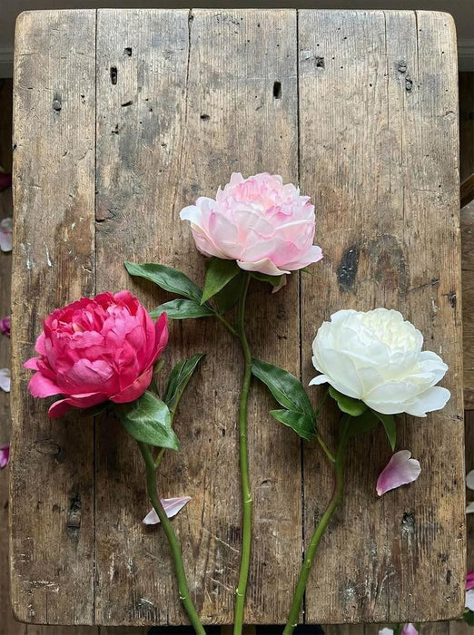 Peony Stem 66cm Pink Light Pink - Pack of 12