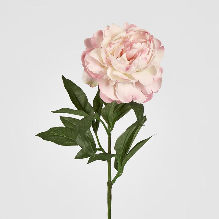 Peony Stem 66cm Pink Light Pink - Pack of 12