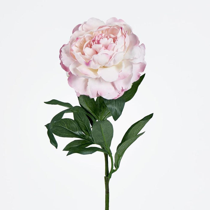 Peony Stem 66cm Pink Light Pink - Pack of 12