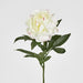 Peony Stem 66cm White - Pack of 12